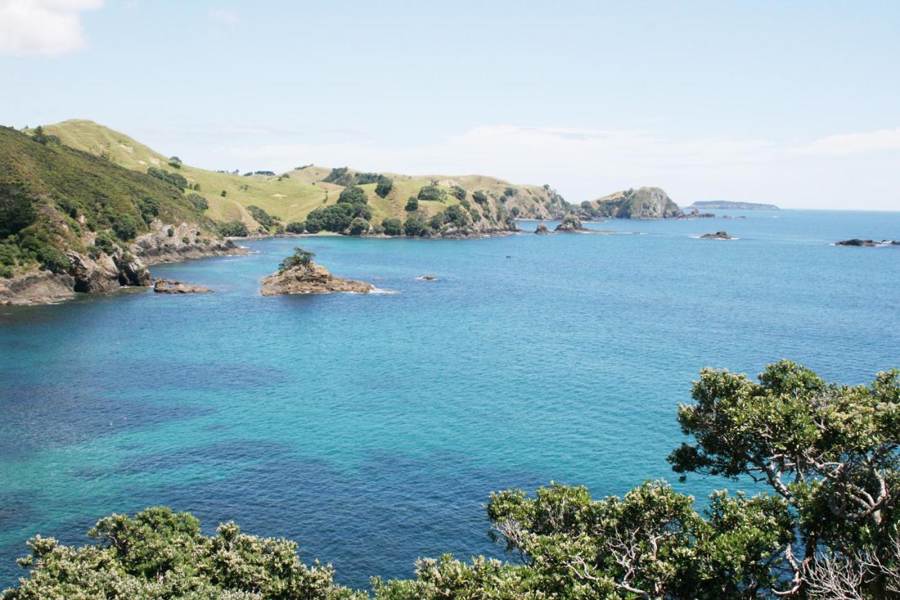 Perfect Base In The Bay Of Islands Apartment Opua Exterior foto